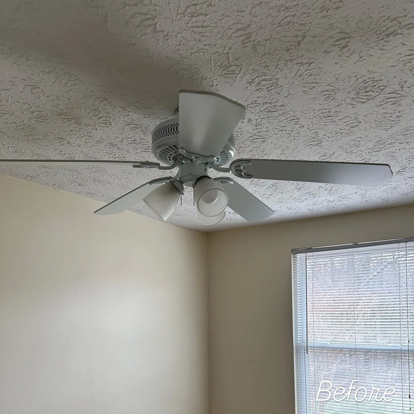 Ceiling Fan Installation