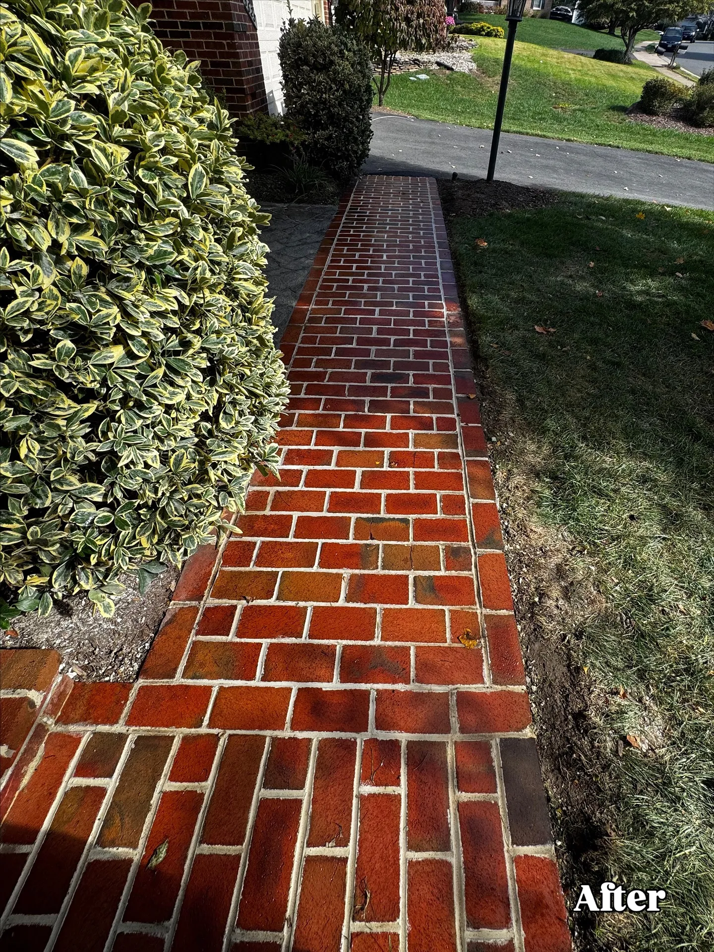 Walkway Repair and Cleaned