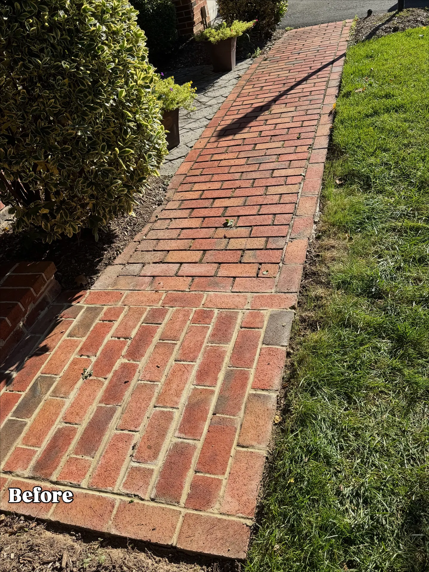 Walkway Repair and Cleaned - Image 2