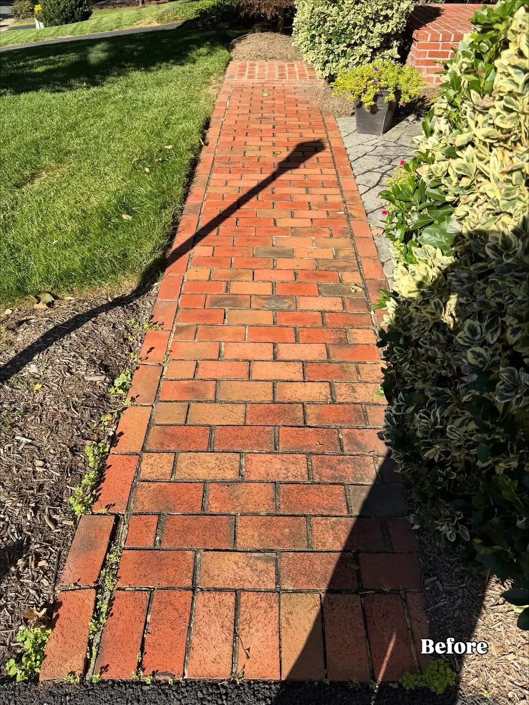 Walkway Repair and Cleaned - Image 3