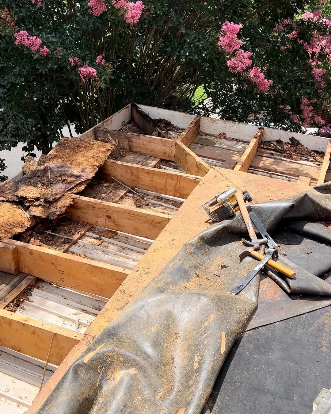 Rotten Wood Replacement - Image 2