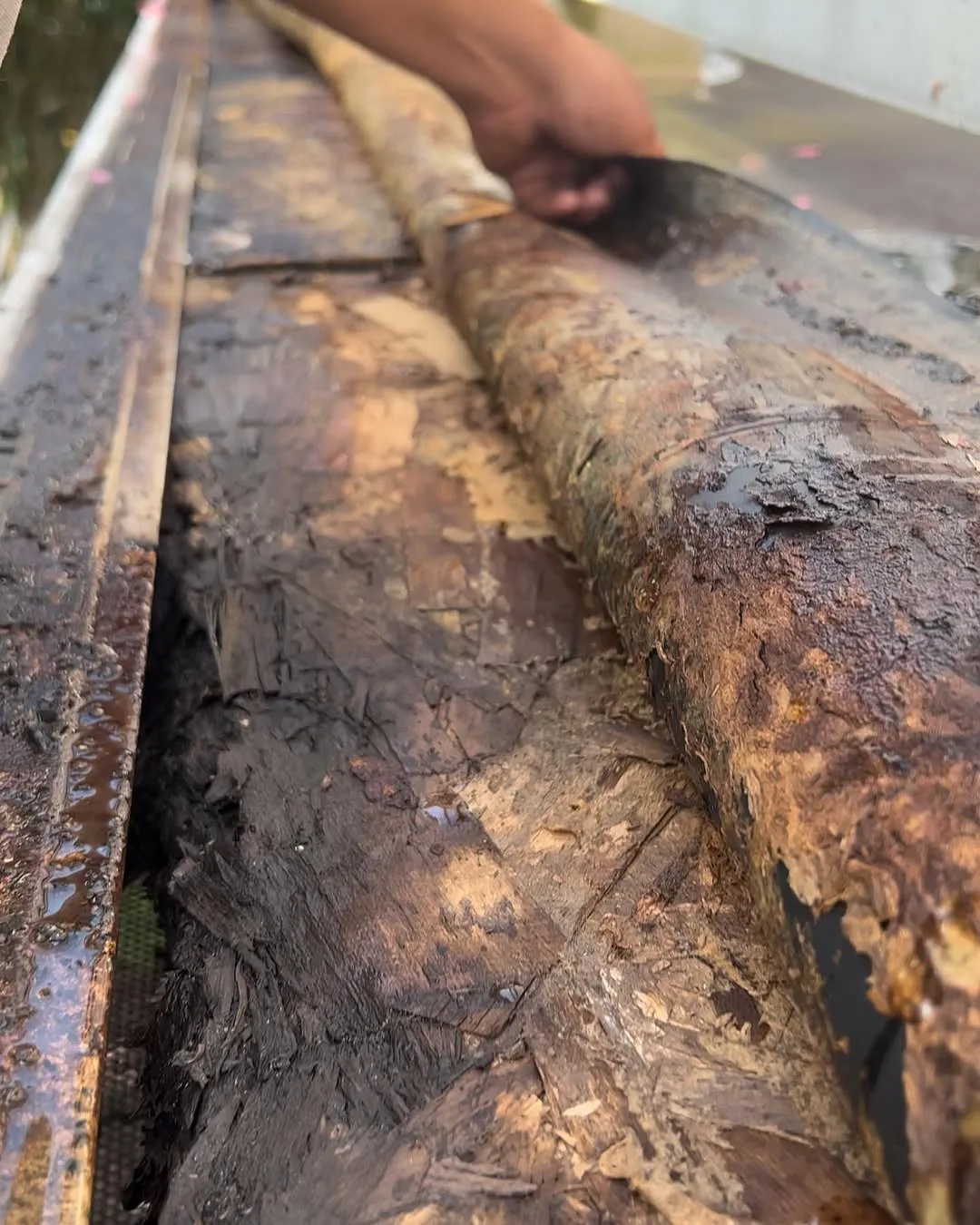 Rotten Wood Replacement - Image 3