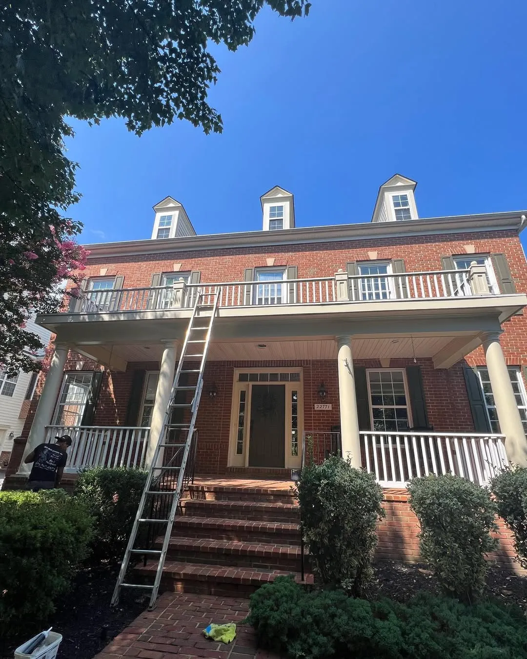 Rotten Wood Replacement - Image 5